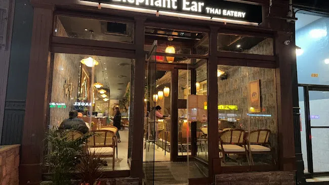 Elephant Ear