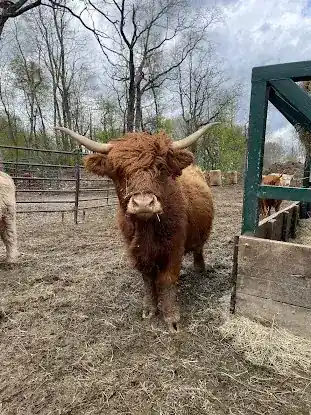 Elk Ravine Farm