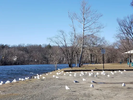 Elmwood Park Boat Ramp