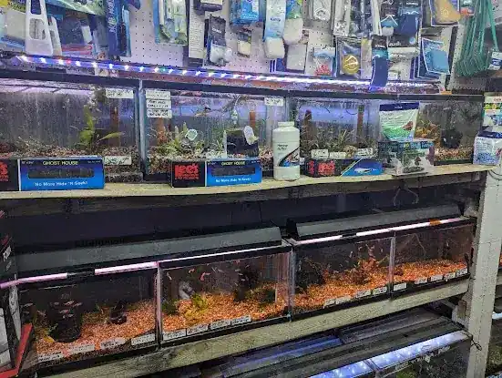 Ely's Tropical Fish