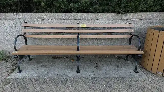 Emily Oleksa's Bench
