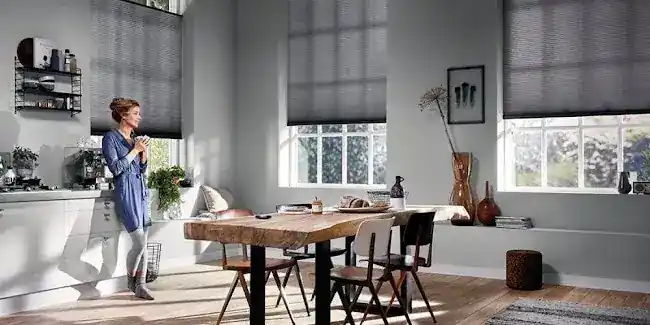 Empire window Treatment center