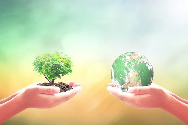 Environmental Consulting & Management Services