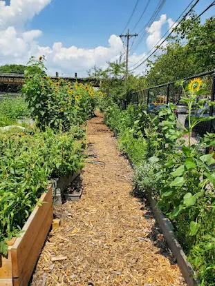 ENY Youth Farm