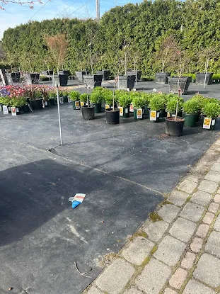 E.P. Jansen Nursery LLC