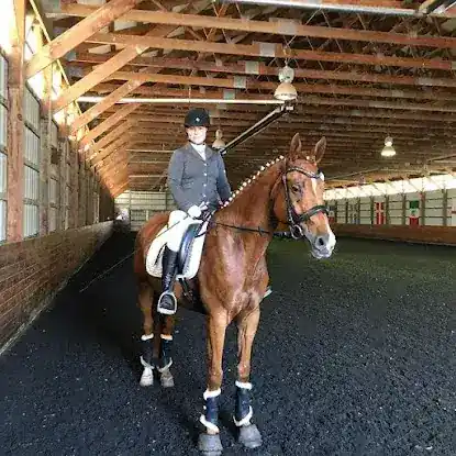 Equiniki Dressage Horses