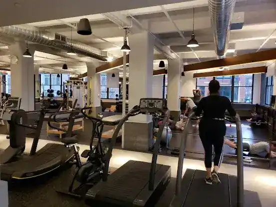 Equinox Dumbo