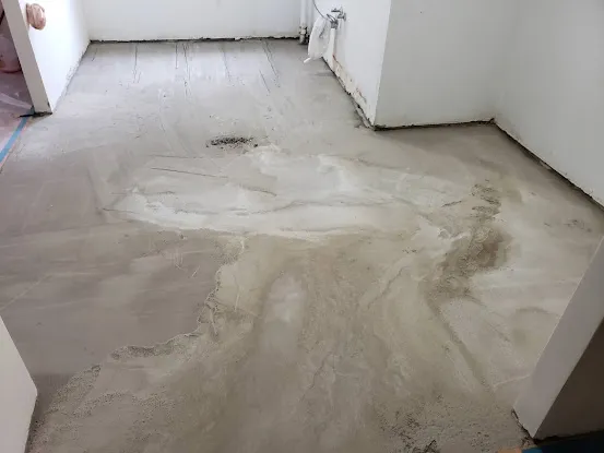 Eras Carpet