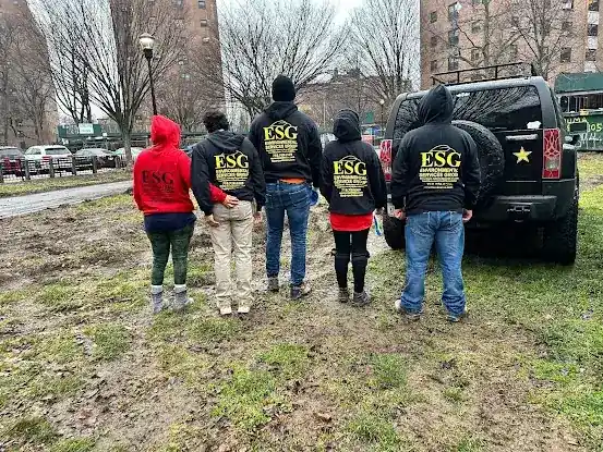 ESG Environmental Services Group Inc