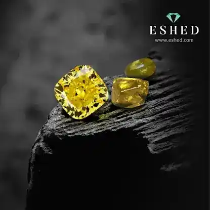Eshed Diam Inc. (NY)