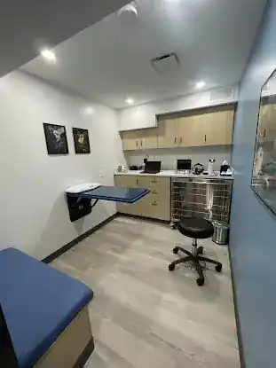 Eye Care For Animals - NYC