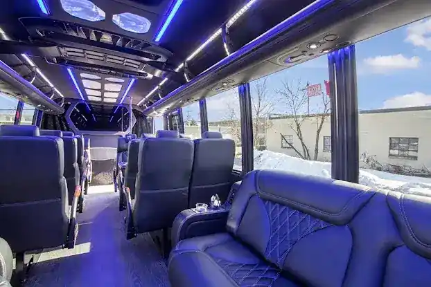 Falcon Tour & Travel