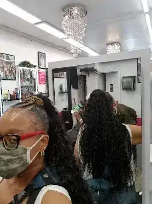 Fanny's African Braiding