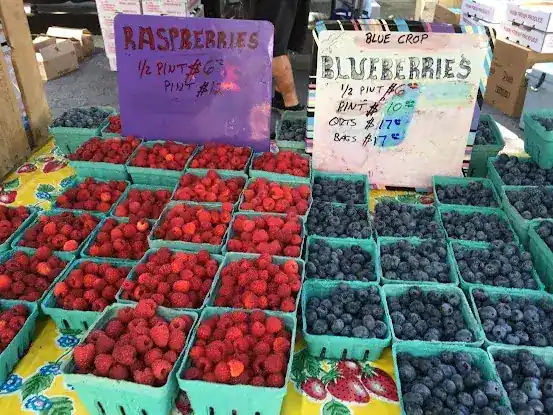Fantasy Fruit Farm - Union Square