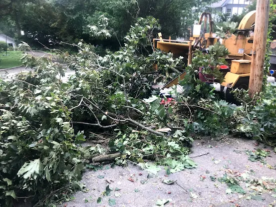 Felix Tree Service