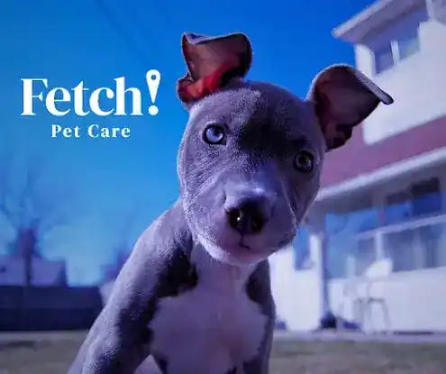 Fetch! Pet Care Manhattan