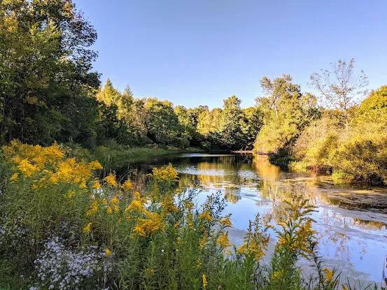 Finger Lakes National Forest