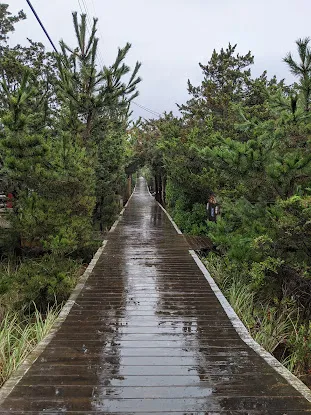 Fire Island National Seashore