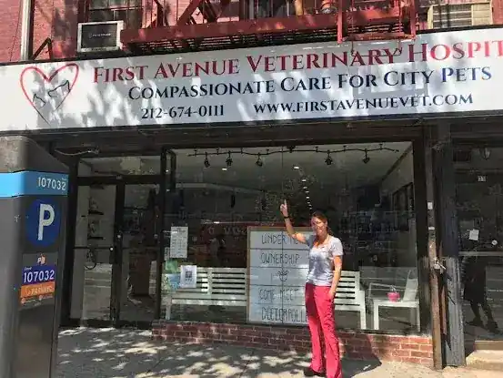 First Avenue Veterinary Hospital
