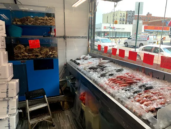 Fish Market