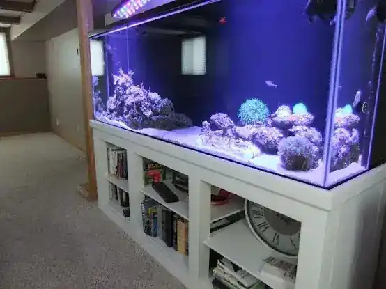 Fish Tank Pro - United States