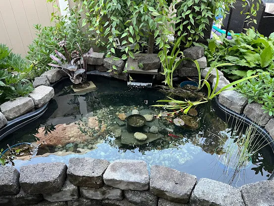 Fitz's Fish Ponds