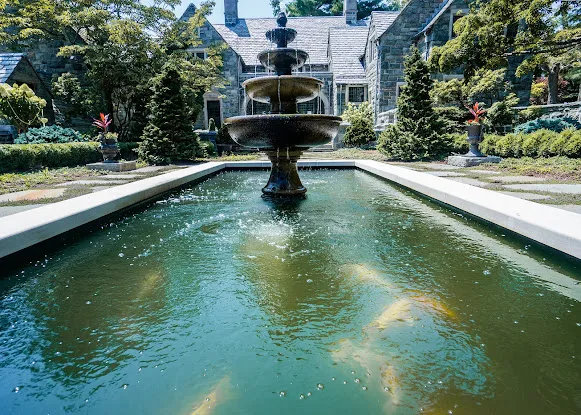 Fitz's Fish Ponds
