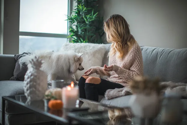 Flat Fee Pros of Kalamazoo
