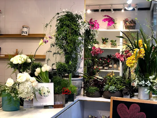 Fleurissimo NYC