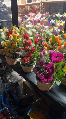 Flower shop Nuevo claveles