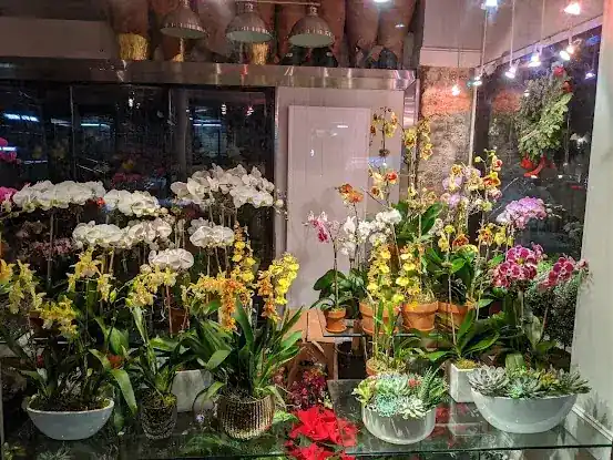 Flowers on The Park