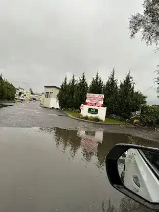 Flushing Water Damage Restoration Expert