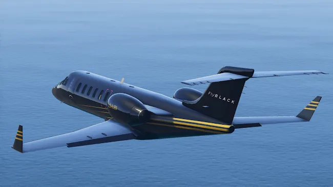FLYBLACK