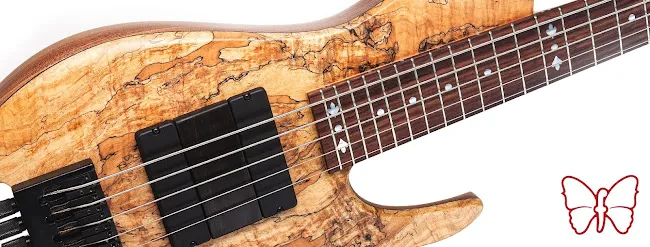 Fodera Guitars