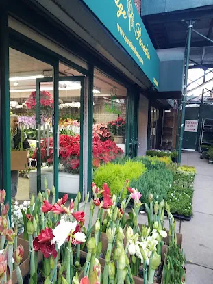 Foliage Garden