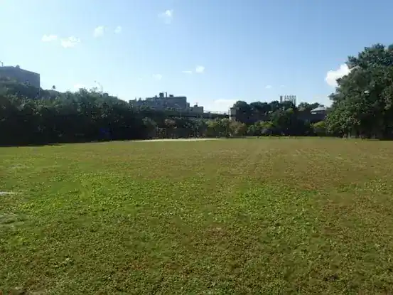 Football Field 1