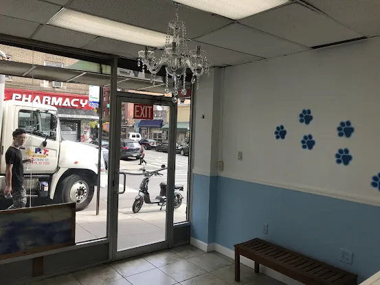 Fordham Veterinary Clinic