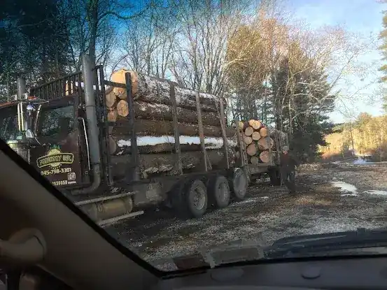 Forestry Ink