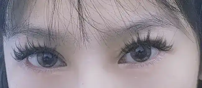 Forever Young Lashes