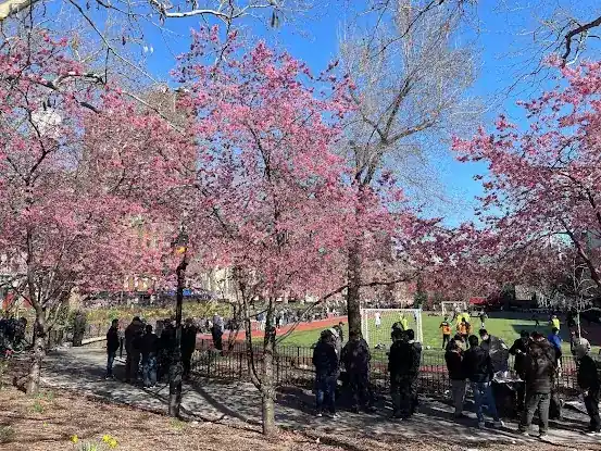 Forsyth Plaza