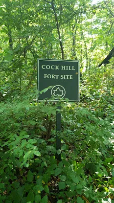 Fort Cockhill