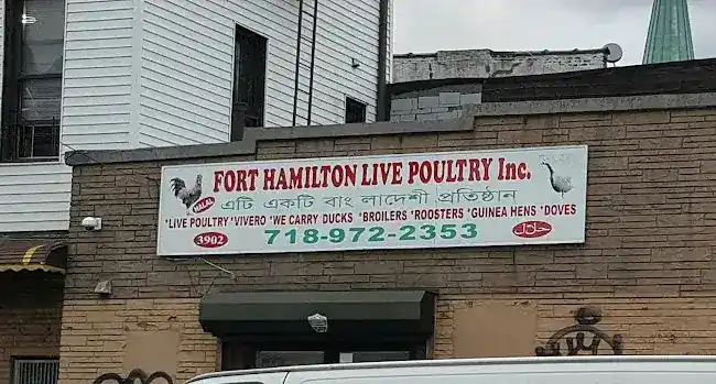 Fort Hamilton Live Poultry