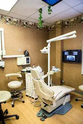 Fort Lee Pediatric Dental Associates: Kasselian Michael DDS