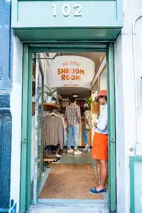 Four Sigmatic Shroom Room