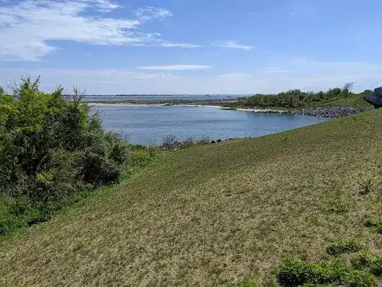 Four Sparrow Marsh