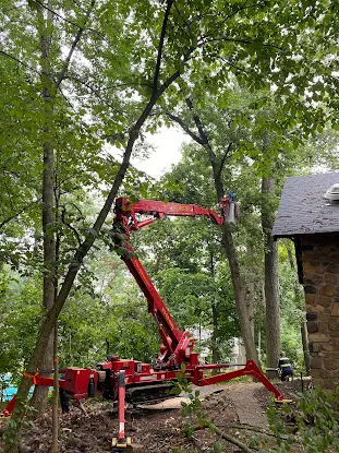 Friendly Tree Experts
