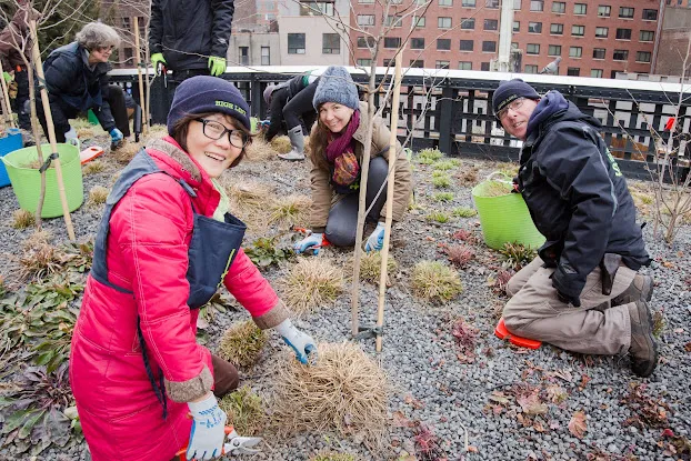 Friends of The High Line