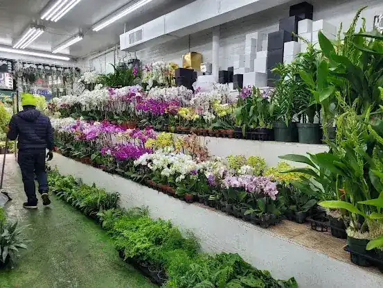 G. Page Wholesale Flowers