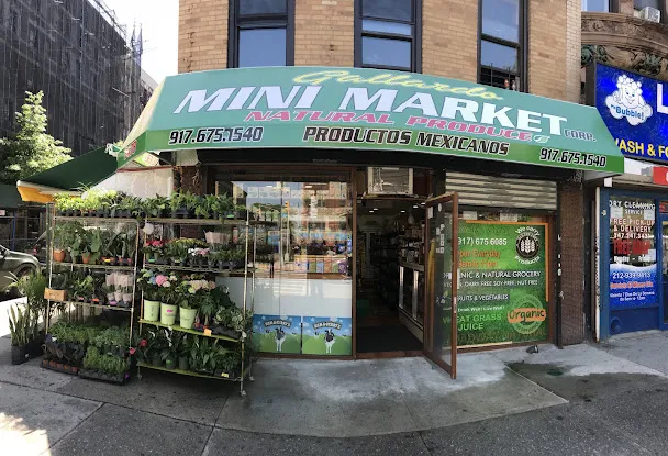 Gallardo Minimarket Corp