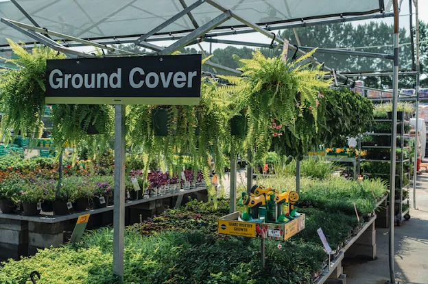 Garden Center at The Home Depot
